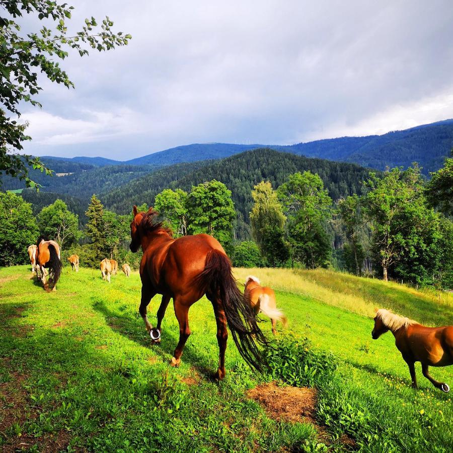 Erlebnisbauernhof Gutschi Ranch Kamp Bagian luar foto