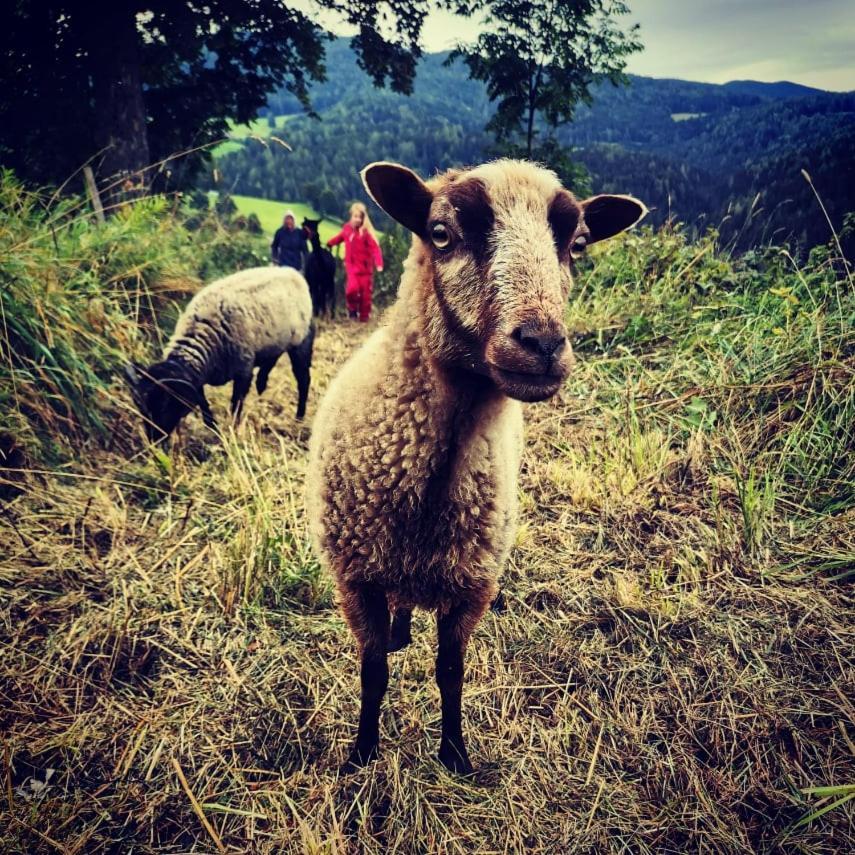 Erlebnisbauernhof Gutschi Ranch Kamp Bagian luar foto
