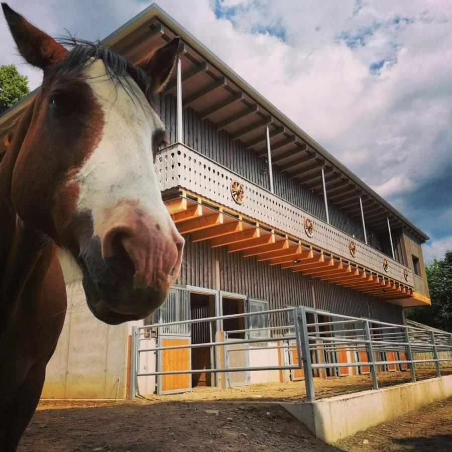 Erlebnisbauernhof Gutschi Ranch Kamp Bagian luar foto