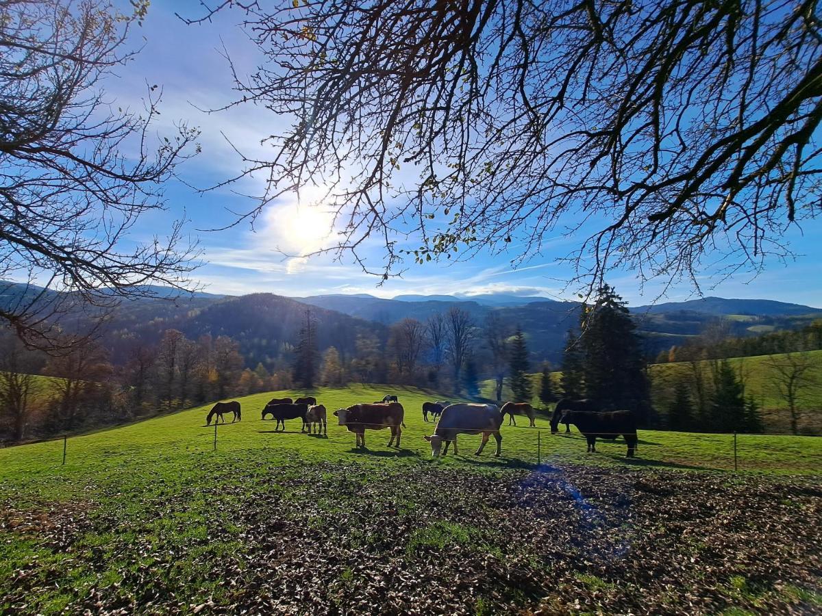 Erlebnisbauernhof Gutschi Ranch Kamp Bagian luar foto