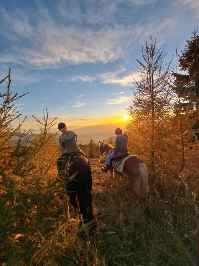 Erlebnisbauernhof Gutschi Ranch Kamp Bagian luar foto