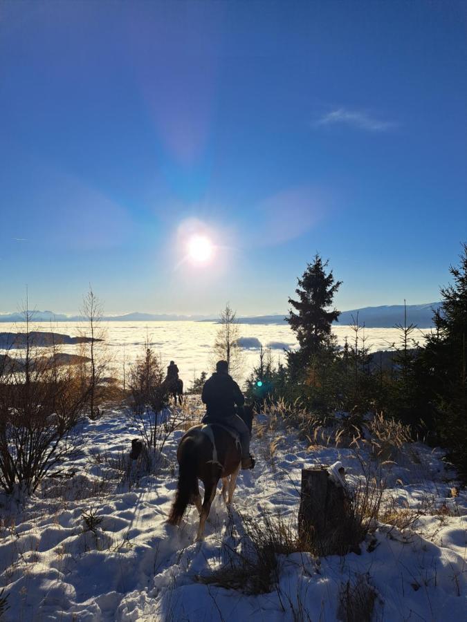 Erlebnisbauernhof Gutschi Ranch Kamp Bagian luar foto