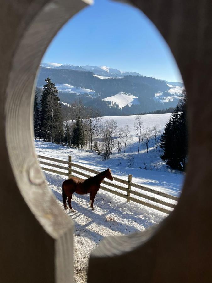 Erlebnisbauernhof Gutschi Ranch Kamp Bagian luar foto
