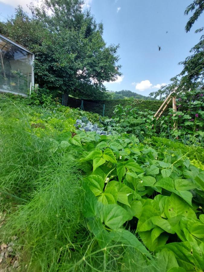 Erlebnisbauernhof Gutschi Ranch Kamp Bagian luar foto
