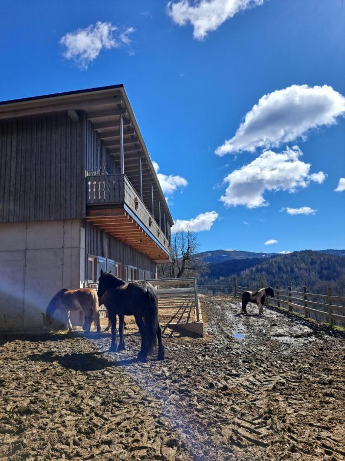 Erlebnisbauernhof Gutschi Ranch Kamp Bagian luar foto