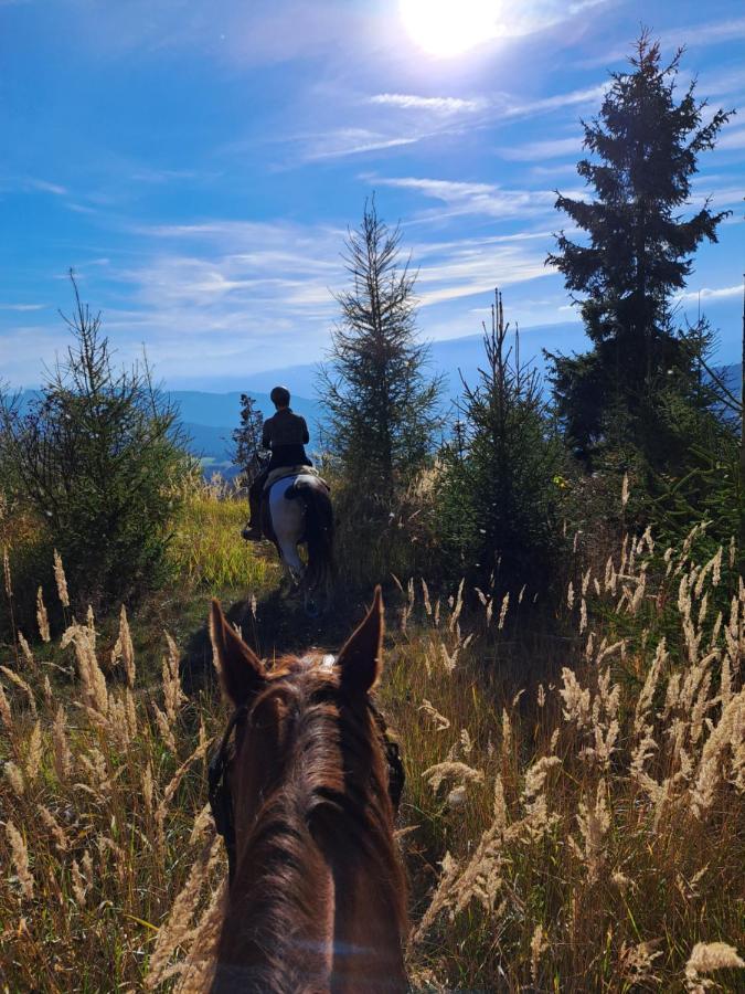 Erlebnisbauernhof Gutschi Ranch Kamp Bagian luar foto