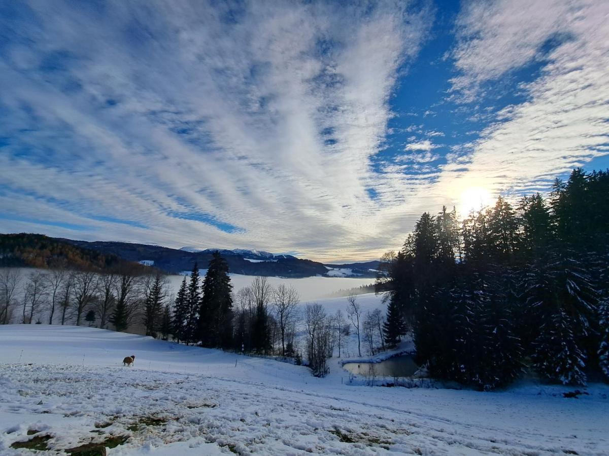 Erlebnisbauernhof Gutschi Ranch Kamp Bagian luar foto