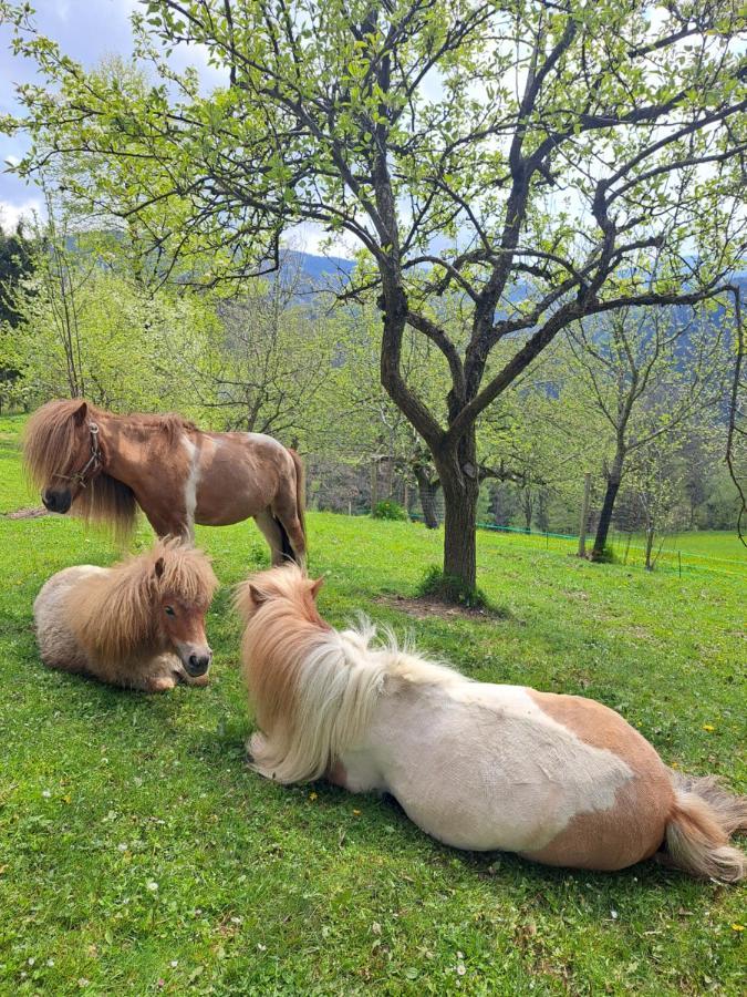 Erlebnisbauernhof Gutschi Ranch Kamp Bagian luar foto