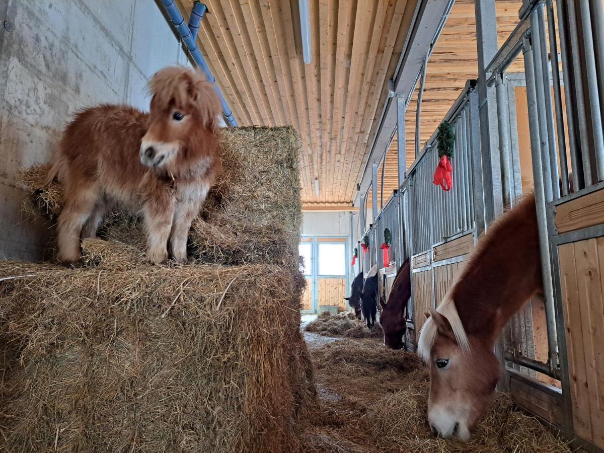 Erlebnisbauernhof Gutschi Ranch Kamp Bagian luar foto