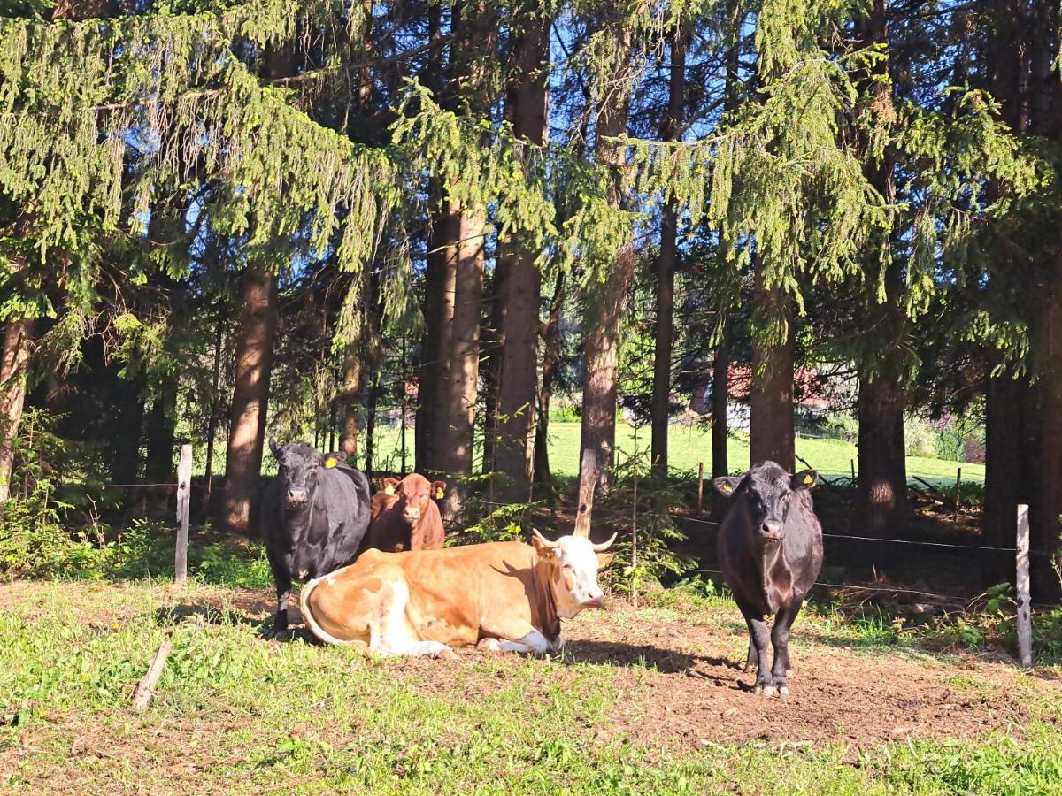 Erlebnisbauernhof Gutschi Ranch Kamp Bagian luar foto