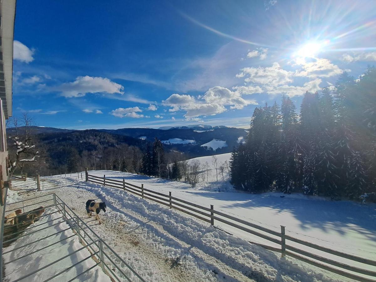 Erlebnisbauernhof Gutschi Ranch Kamp Bagian luar foto