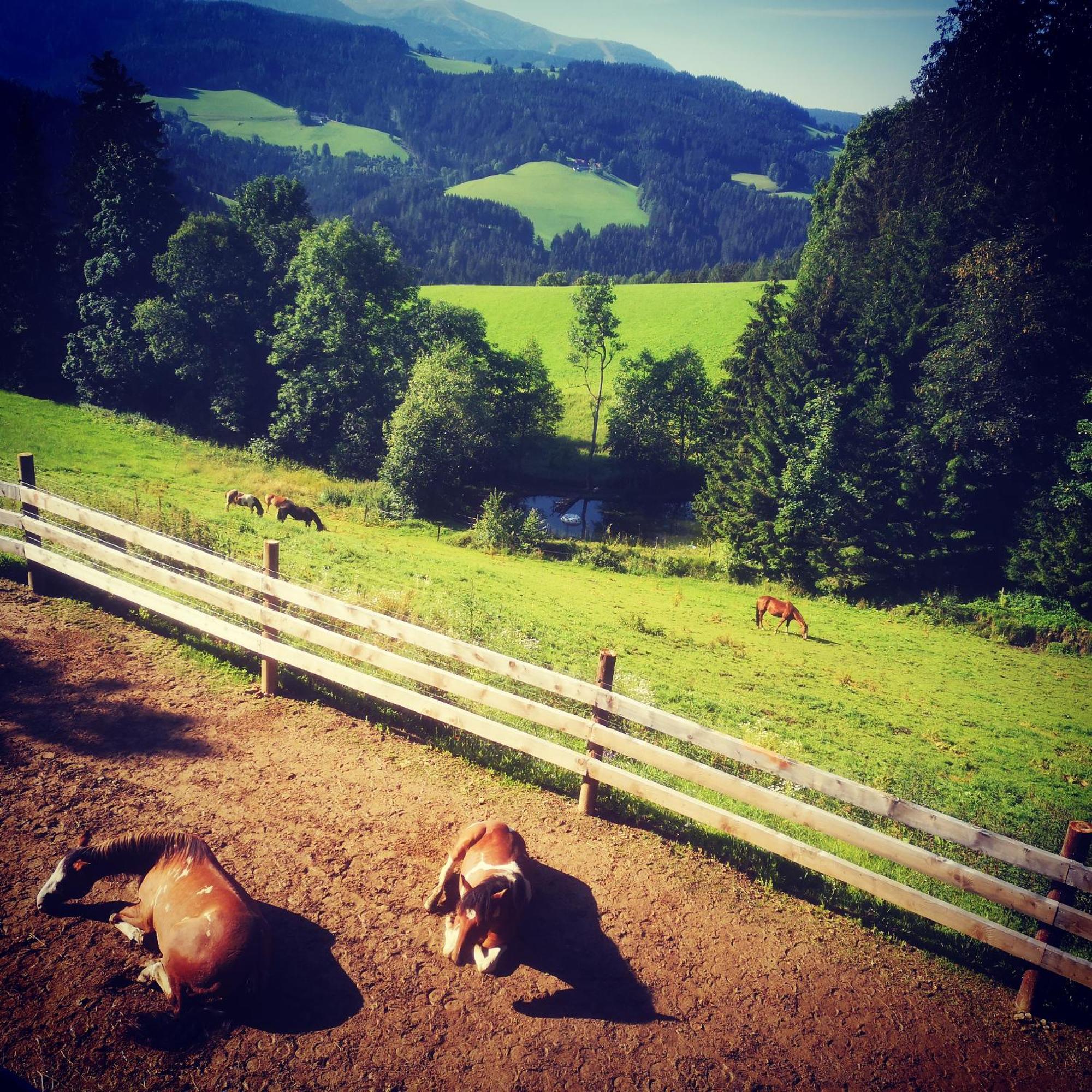 Erlebnisbauernhof Gutschi Ranch Kamp Ruang foto